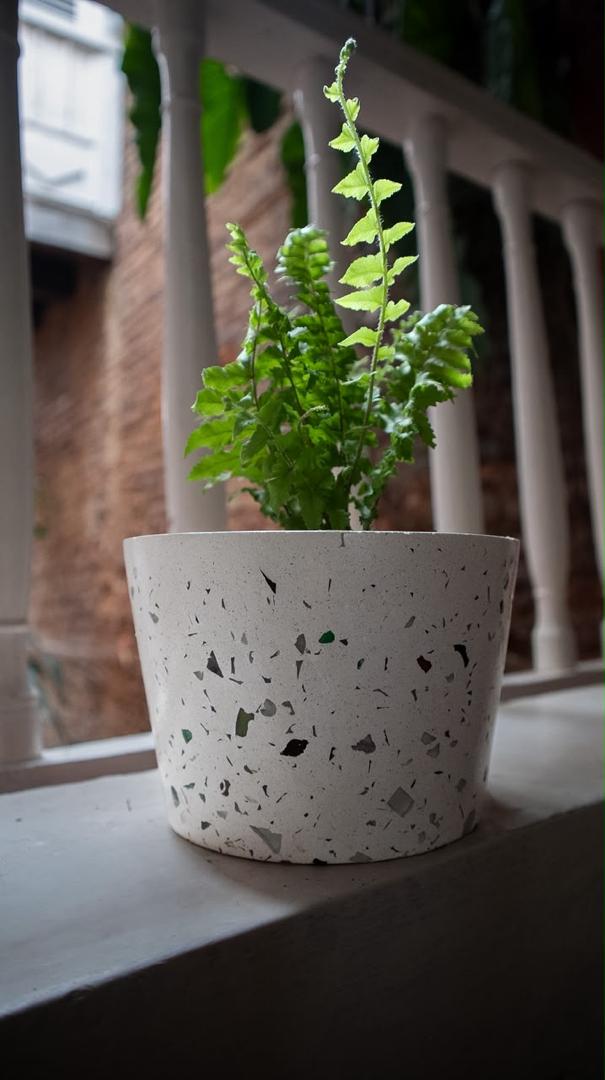 Macetero de terrazo con planta